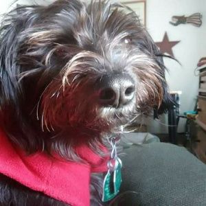 Meet your Posher, Cheryl